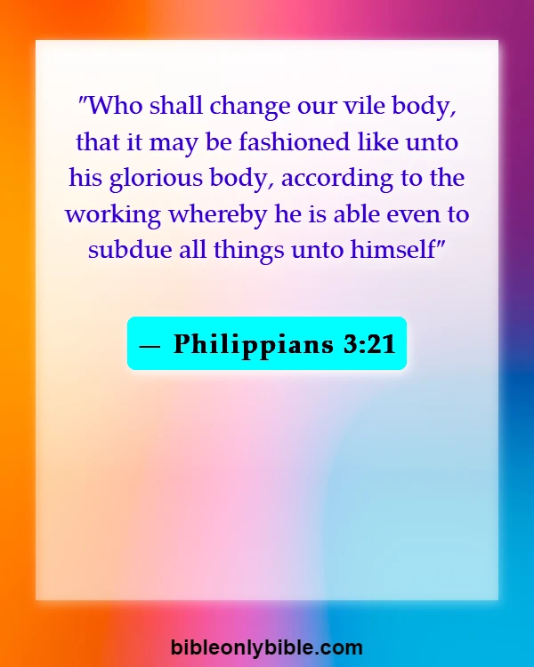 Bible Verses About Husband And Wife Reunited In Heaven (Philippians 3:21)