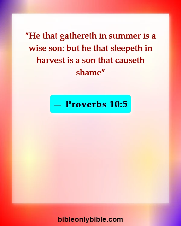 Bible Verses About Opportunity (Proverbs 10:5)