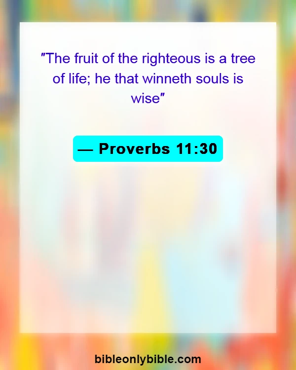 Bible Verses About Sin Makes You Stupid (Proverbs 11:30)
