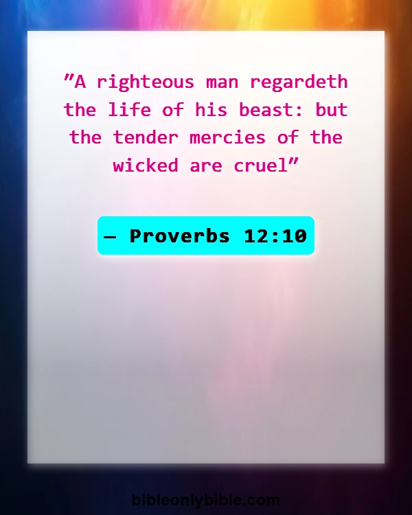 Bible Verses About Respecting God's Creation (Proverbs 12:10)