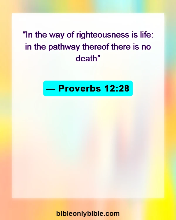 Bible Verses About Righteousness (Proverbs 12:28)