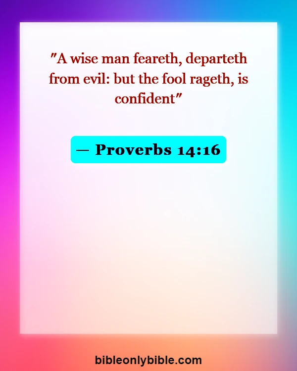 Bible Verses About Sin Makes You Stupid (Proverbs 14:16)