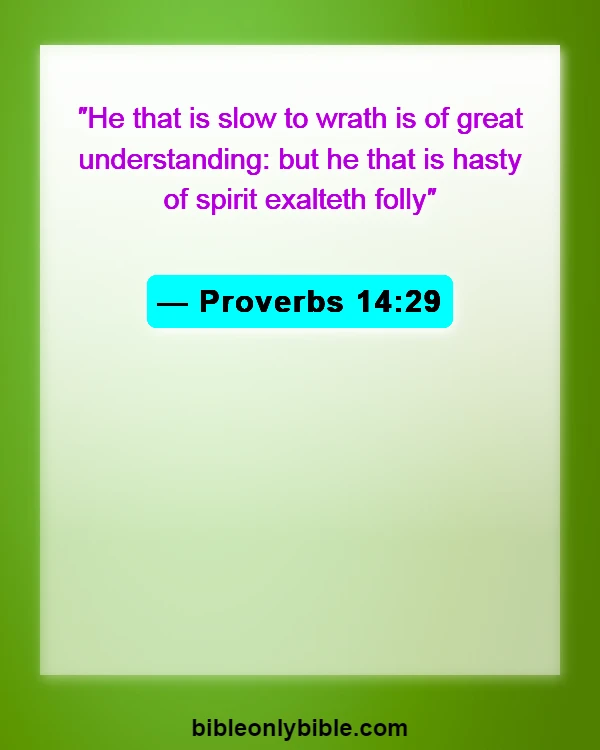 Bible Verses About Patience And Perseverance (Proverbs 14:29)