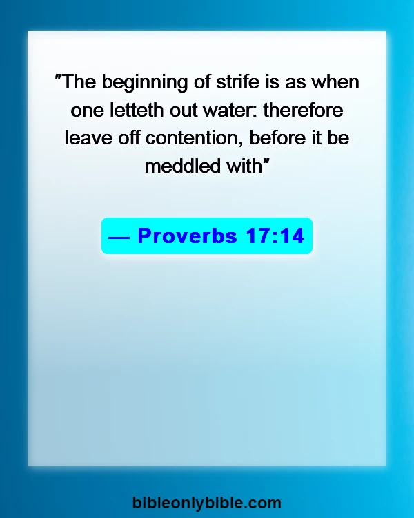 Bible Verses About Relationship Problems (Proverbs 17:14)