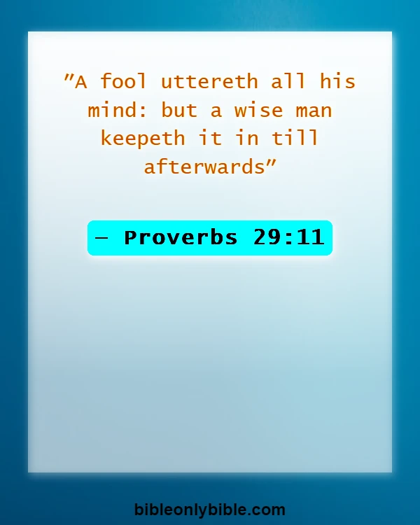 Bible Verses About Do Not Go To Bed Angry (Proverbs 29:11)