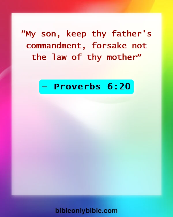 Bible Verses About Disrespecting Your Mother (Proverbs 6:20)