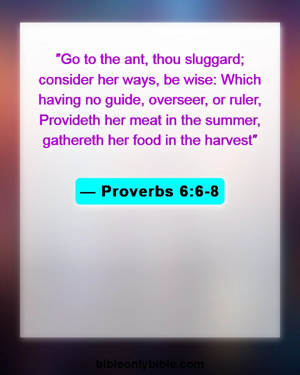 Bible Verses About Success And Hard Work (Proverbs 6:6-8)