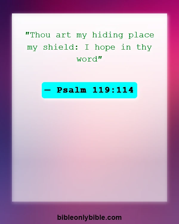 Bible Verses About Dealing With Problems (Psalm 119:114)