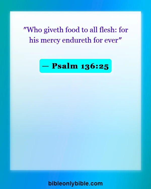 Bible Verses About Appreciating The Little Things In Life (Psalm 136:25)