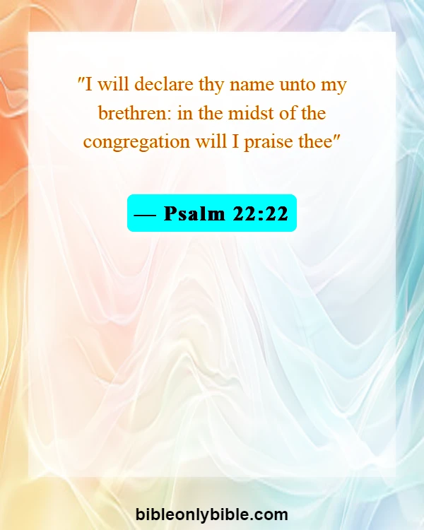 Bible Verses About Testimony (Psalm 22:22)