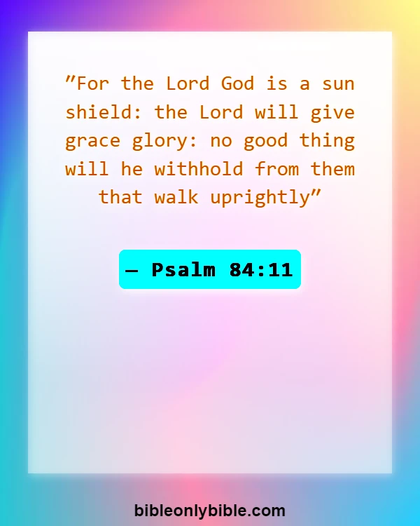 Bible Verses About Sun (Psalm 84:11)