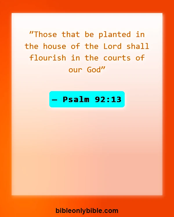 Bible Verses About Let Us Go To The House Of The Lord (Psalm 92:13)