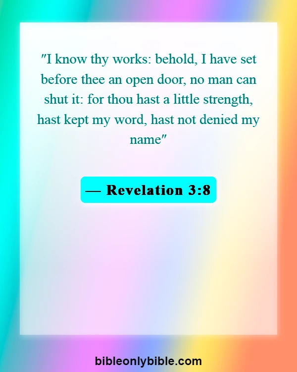 Bible Verses About Opportunity (Revelation 3:8)