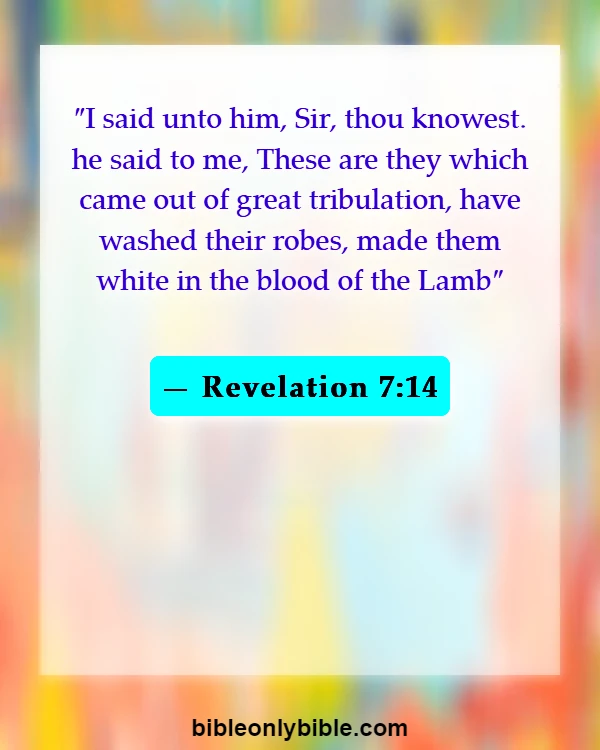 Bible Verses About Scariest Revelations (Revelation 7:14)