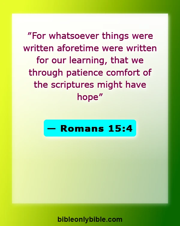 Bible Verses About Despair (Romans 15:4)