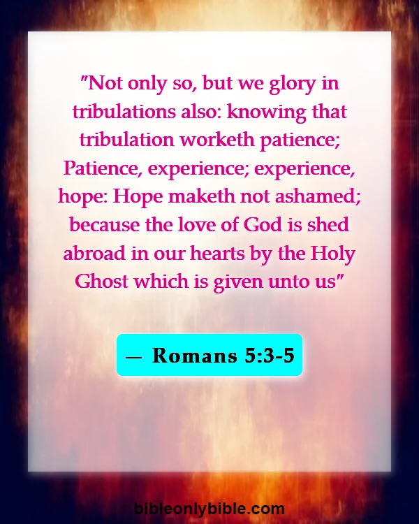 Bible Verses About Excitement (Romans 5:3-5)