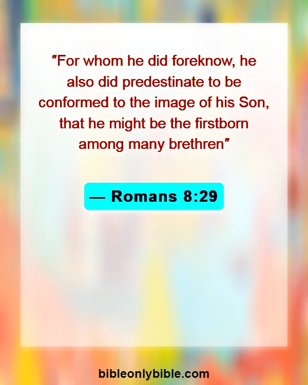 Bible Verses About Sanctification (Romans 8:29)