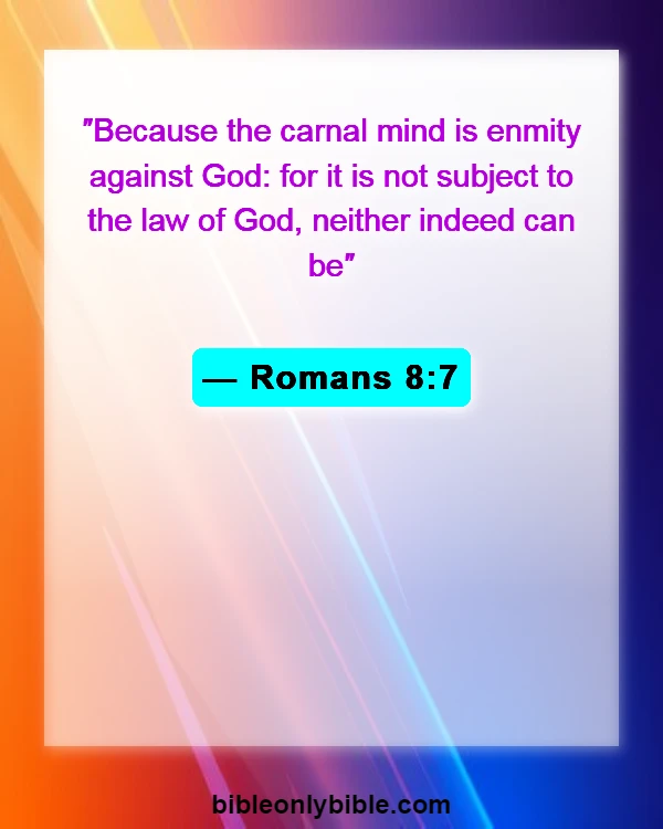 Bible Verses About Division (Romans 8:7)