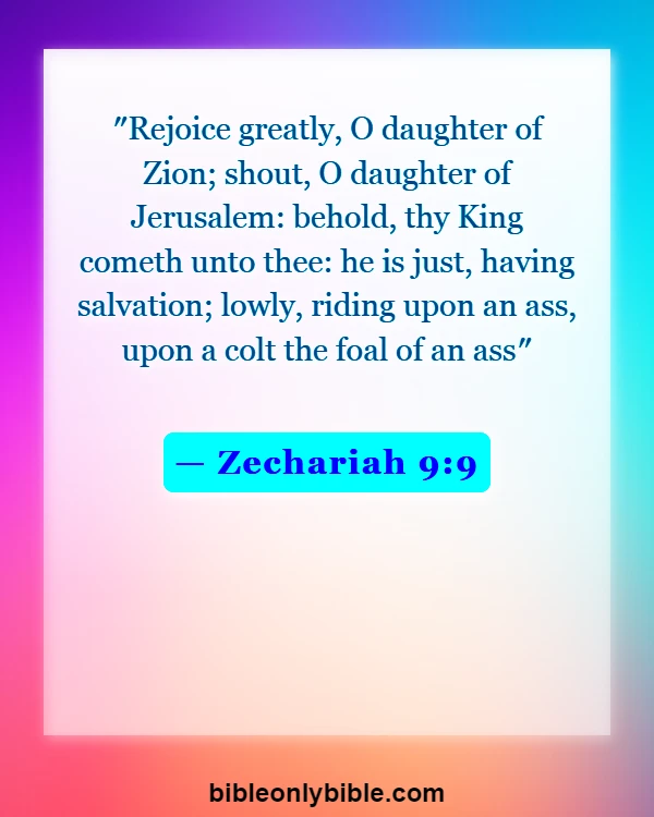 Bible Verses About Powerful Prophetics (Zechariah 9:9)