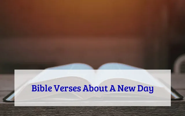 Bible Verses About A New Day