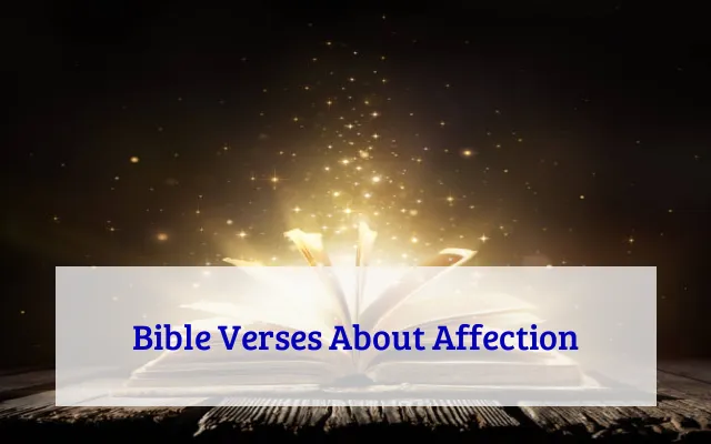 Bible Verses About Affection