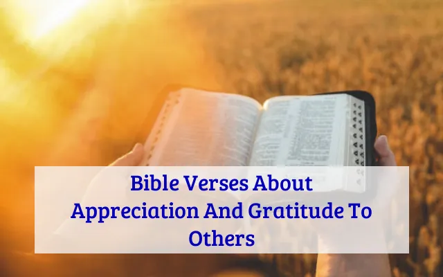 Bible Verses About Appreciation And Gratitude To Others