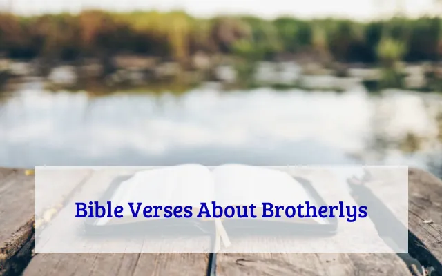 Bible Verses About Brotherlys