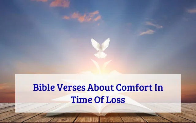 Bible Verses About Comfort In Time Of Loss
