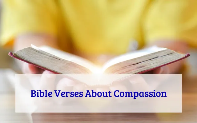 Bible Verses About Compassion