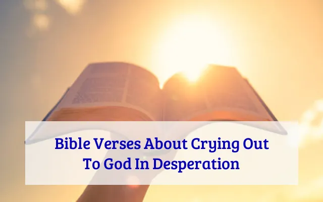 Bible Verses About Crying Out To God In Desperation