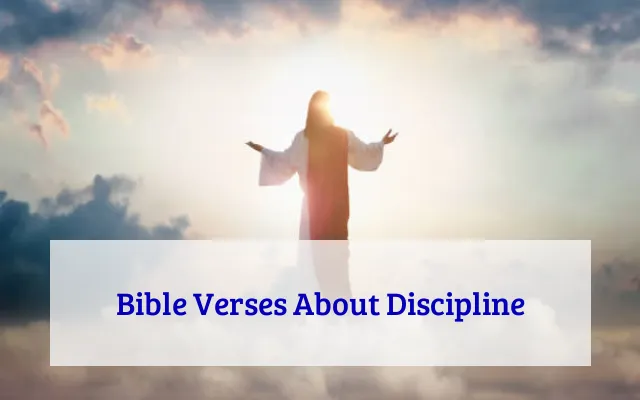 Bible Verses About Discipline