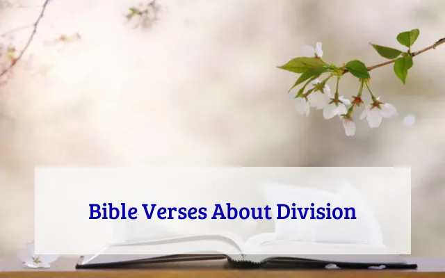Bible Verses About Division