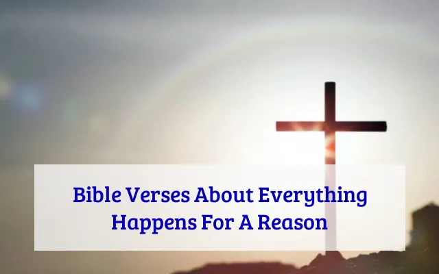 Bible Verses About Everything Happens For A Reason