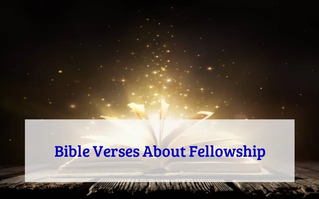 Bible Verses About Fellowship