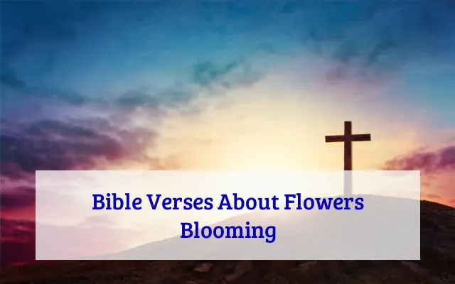 Bible Verses About Flowers Blooming