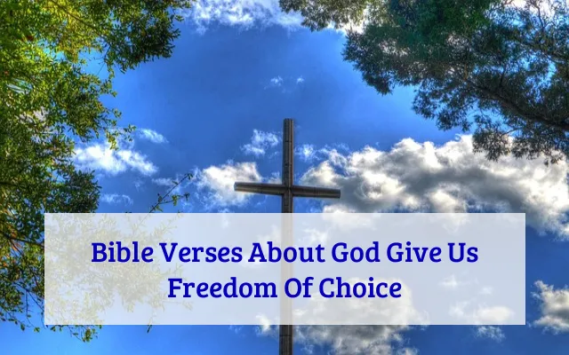 Bible Verses About God Give Us Freedom Of Choice