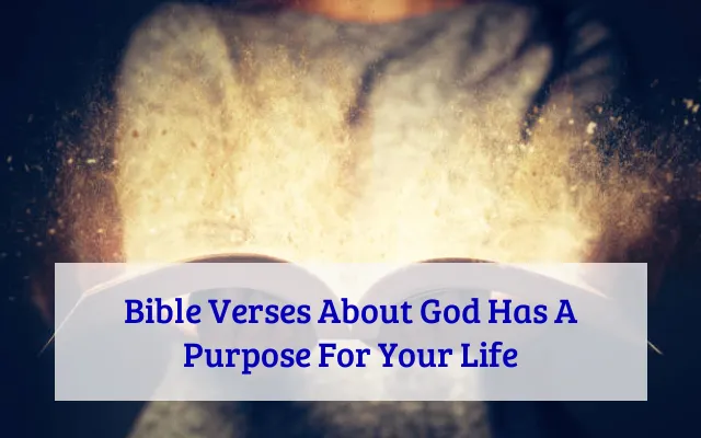 Bible Verses About God Has A Purpose For Your Life