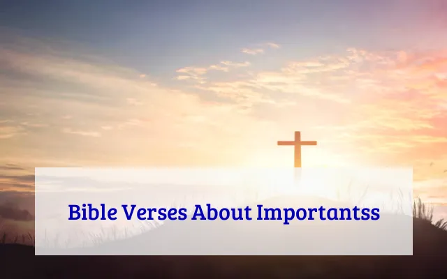 Bible Verses About Importantss
