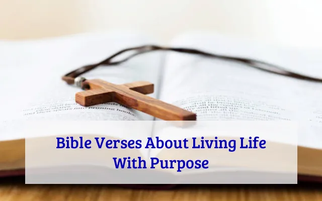 Bible Verses About Living Life With Purpose