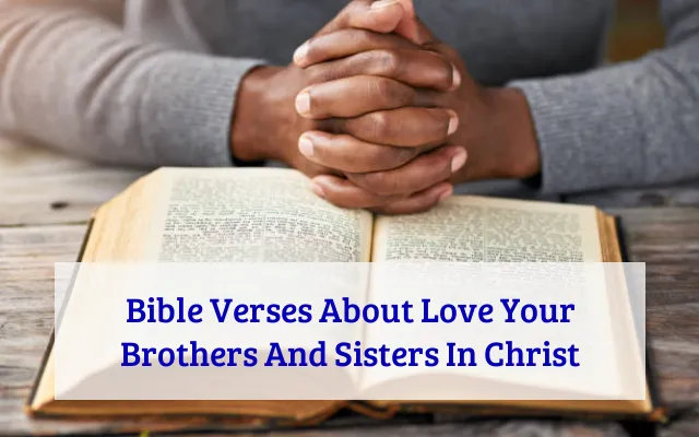 Bible Verses About Love Your Brothers And Sisters In Christ