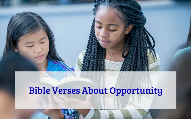 Bible Verses About Opportunity