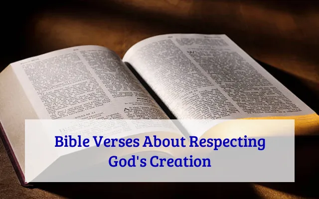 Bible Verses About Respecting God's Creation