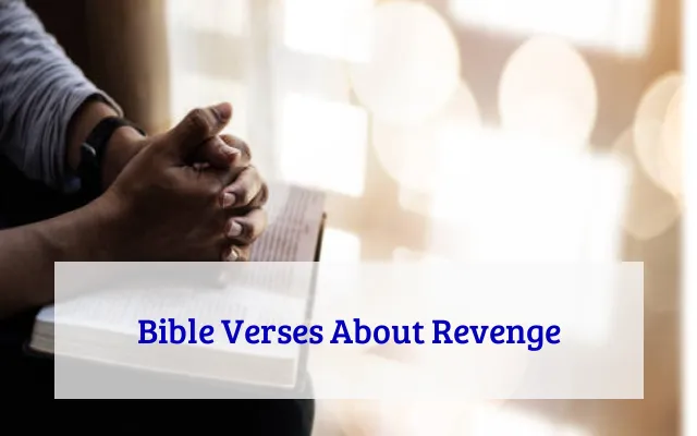 Bible Verses About Revenge