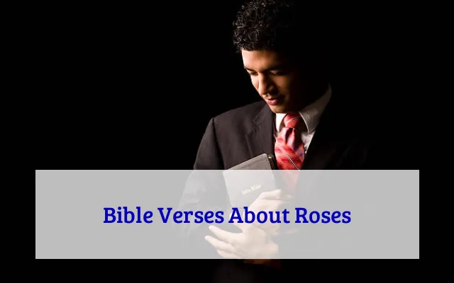 Bible Verses About Roses
