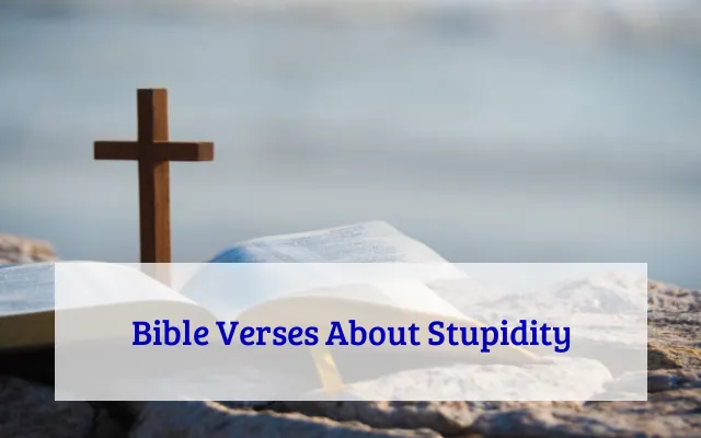 Bible Verses About Stupidity