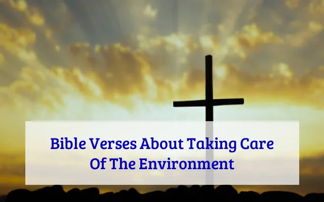 Bible Verses About Taking Care Of The Environment