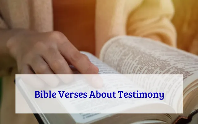 Bible Verses About Testimony