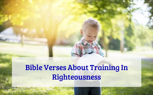 Bible Verses About Training In Righteousness