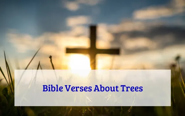 Bible Verses About Trees