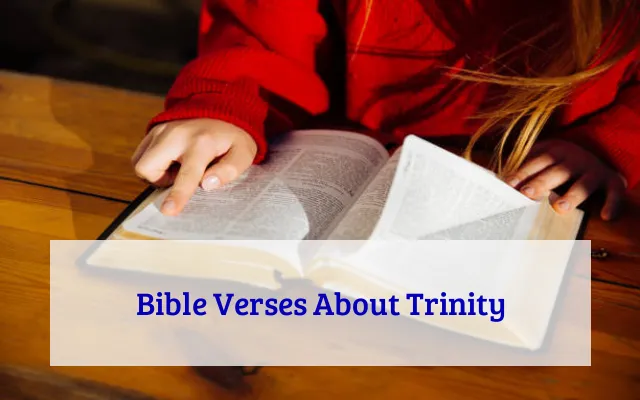 Bible Verses About Trinity